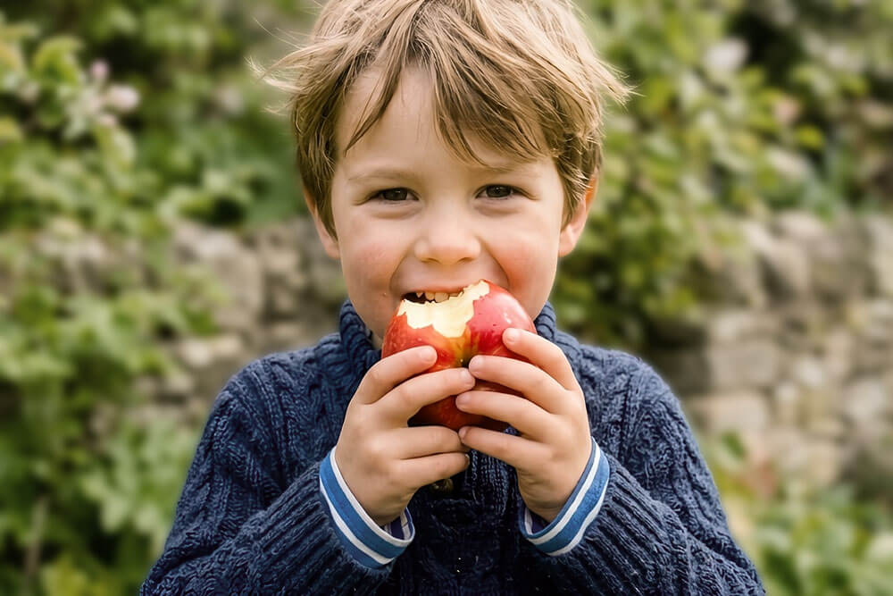 Un bambino sorridente con un maglione blu morde una mela rossa in un giardino di primavera.