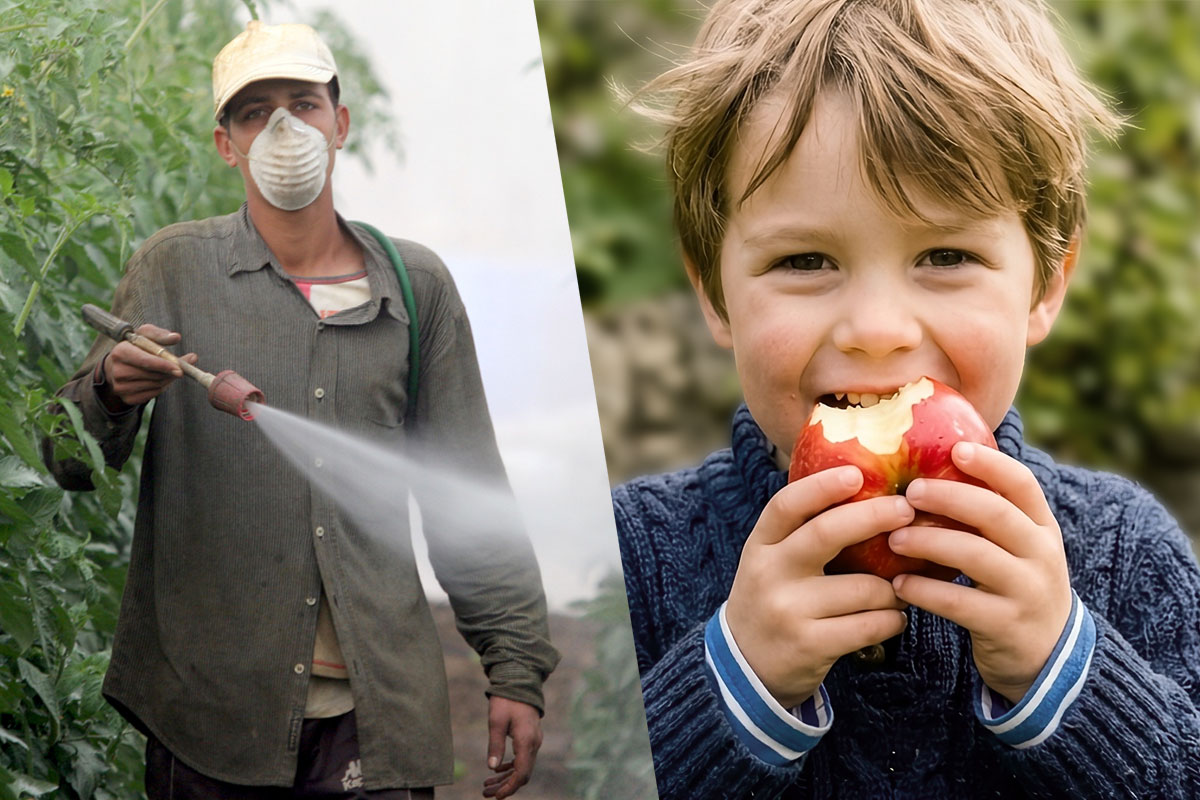 Un'immagine composta divisa in due. A sinistra un agricoltore con maschera spruzza pesticidi su piante, a destra un bambino sorride mentre morde una mela rossa.